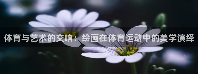 678体育知识：体育与艺术的交响：绘画在体育运动中的美学演绎