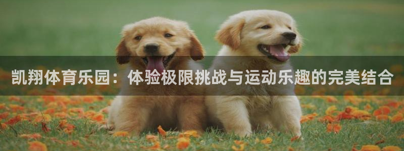 678体育app：凯翔体育乐园：体验极限挑战与运动乐趣的完美结合
