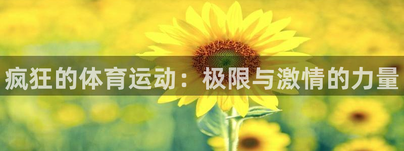 678体育app：疯狂的体育运动：极限与激情的力量