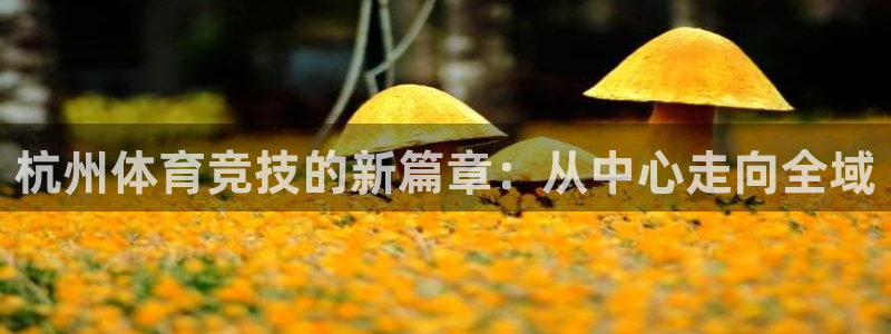 678体育app：杭州体育竞技的新篇章：从中心走向全域