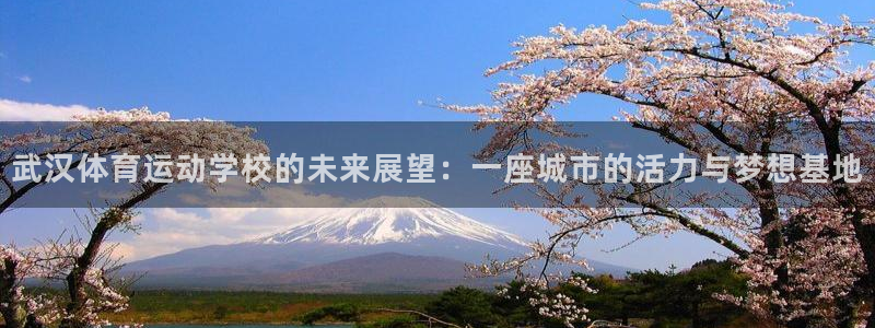 678体育官网下载：武汉体育运动学校的未来展望：一座城市的活力与梦想基地