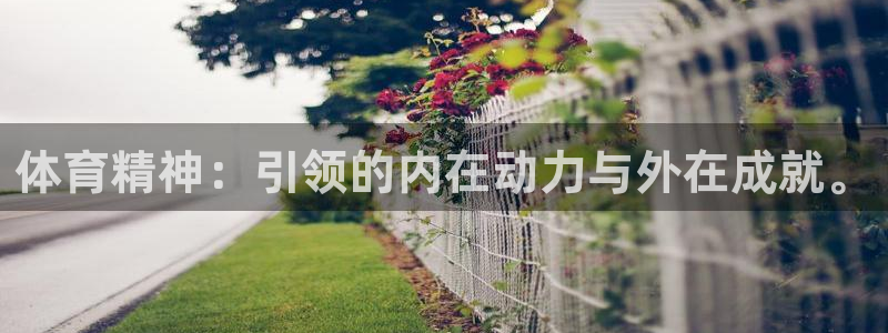 678体育知识：体育精神：引领的内在动力与外在成就。