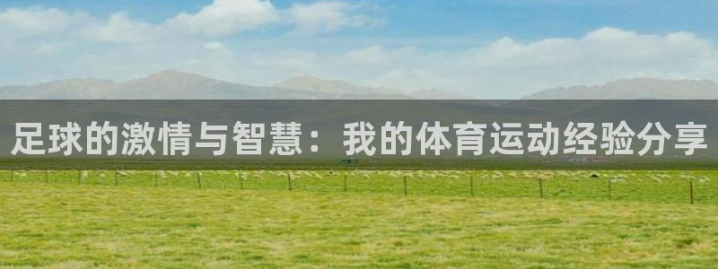 678体育官网下载：足球的激情与智慧：我的体育运动经验分享