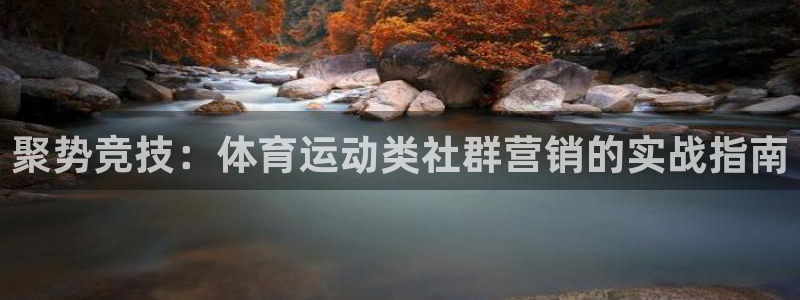 678体育：聚势竞技：体育运动类社群营销的实战指南
