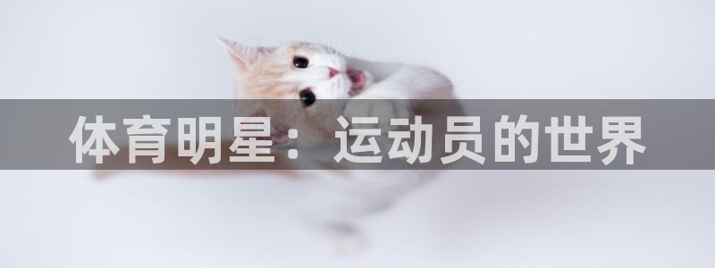 678体育官网地址：体育明星：运动员的世界