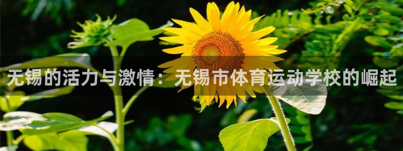 678体育官网地址：无锡的活力与激情：无锡市体育运动学校的崛起